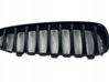 Front grill 40502055