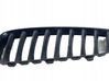 Front grill 40502054