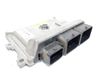 Sterownik / Moduł ECU 9805895780