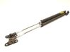 Tailgate/trunk strut/damper 6895049205
