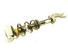 Front shock absorber with coil spring 8W0413031BG
