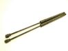 Amortiguador/puntal del maletero/compartimento de carga 904529943R