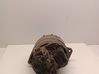 Alternator 049903023T