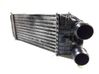 Intercooler radiator 0384N7