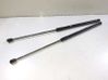 Tailgate/trunk strut/damper 1747492