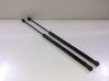 Амортизатор задней крышки 51247127875