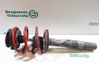 Front shock absorber with coil spring 