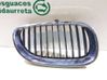 Fender grill 