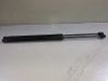 Tailgate/trunk strut/damper 6H52406A10AG