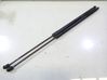 Tailgate/trunk strut/damper 