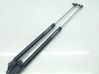 Tailgate/trunk strut/damper 