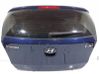 Puerta trasera 737002R010
