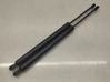Tailgate/trunk strut/damper ET76A406A10AB