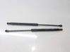 Tailgate/trunk strut/damper 689600D012
