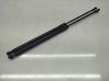 Tailgate/trunk strut/damper 