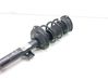 Front shock absorber with coil spring 