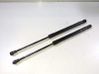Tailgate/trunk strut/damper 51247060622