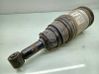Stoßdämpfer hinten 22250006
