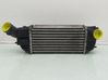 Chłodnica powietrza doładowującego / Intercooler 0384N4