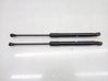 Tailgate/trunk strut/damper 