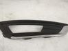 Front grill 1873307