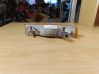 Front indicator light 12293