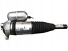 Rear shock absorber with coil spring 4N0616031AF