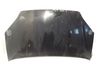 Motorhaube 