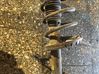 Front shock absorber/damper 1400567780