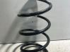 Front coil spring 