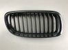 Front grill 7201968
