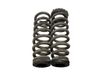 Rear coil spring 55330GIAB0