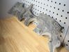 Front underbody cover/under tray 7012075