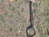 Muffler/silencer 7823340