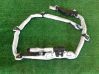 Airbag del techo 85696686003B