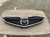 Front grill CE1950712