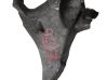 Engine mounting bracket 78191601