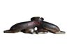 Kolektor wydechowy A1391420200