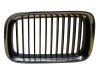Front grill 51138122237