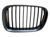 Front grill 