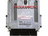 Engine control unit/module 0281016808