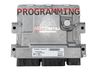 Unidad de control/módulo del motor A2C0911230001
