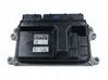 Engine control unit/module PELV18881