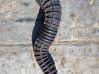 Air intake duct part 