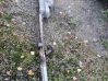 Tubería del tubo de escape 