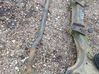 Front anti-roll bar/sway bar 