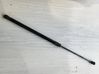 Tailgate/trunk strut/damper 81A827552B