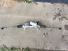 Steering rack 490015917TG