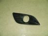 ACC Distronic radar sensor grill/trim 8M51R19953A