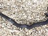 Engine coolant pipe/hose 9172939